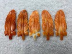 Natural Spiny Oyster Shell Feather Shape (B) Orange
