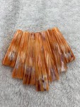 Copy of Spiny Oyster Shell Long Chips Graduated Orange