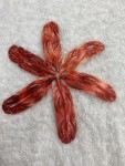 Natural Spiny Oyster Shell Feather Shape (C) Red